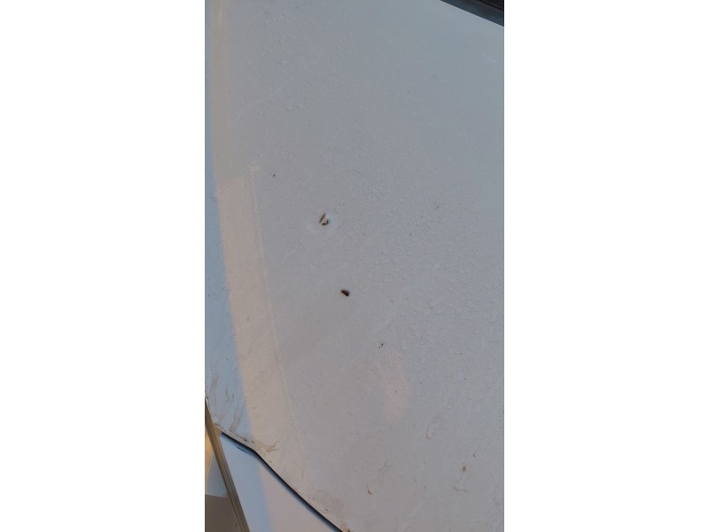 Recambio de capot para peugeot 207/207+ (wa_, wc_) 1.4 hdi referencia OEM IAM   