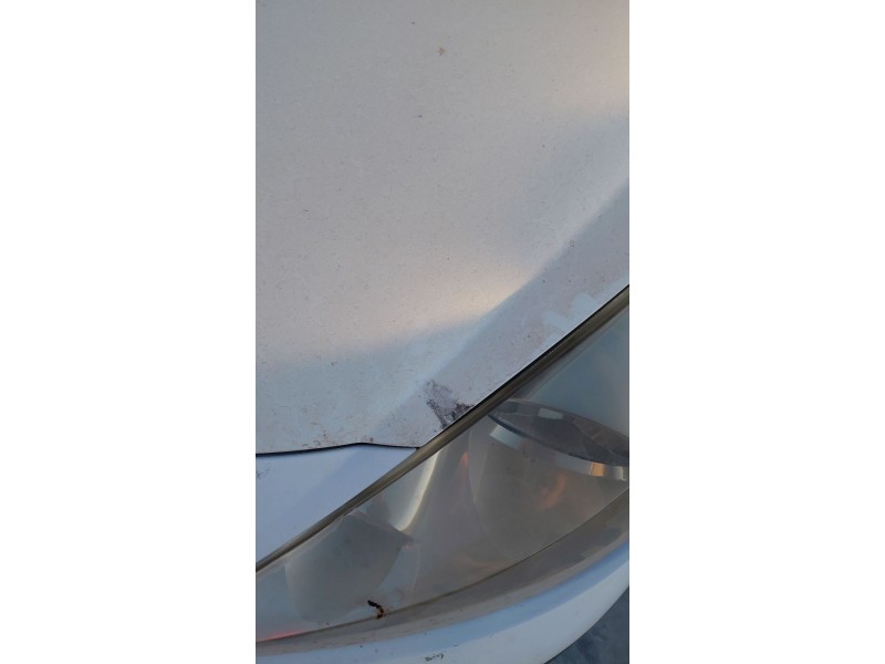 Recambio de capot para peugeot 207/207+ (wa_, wc_) 1.4 hdi referencia OEM IAM   
							