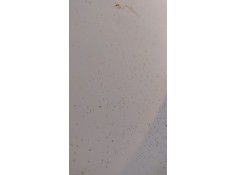 Recambio de capot para lancia ypsilon (843_) 1.2 (843.axa1a) referencia OEM IAM    2