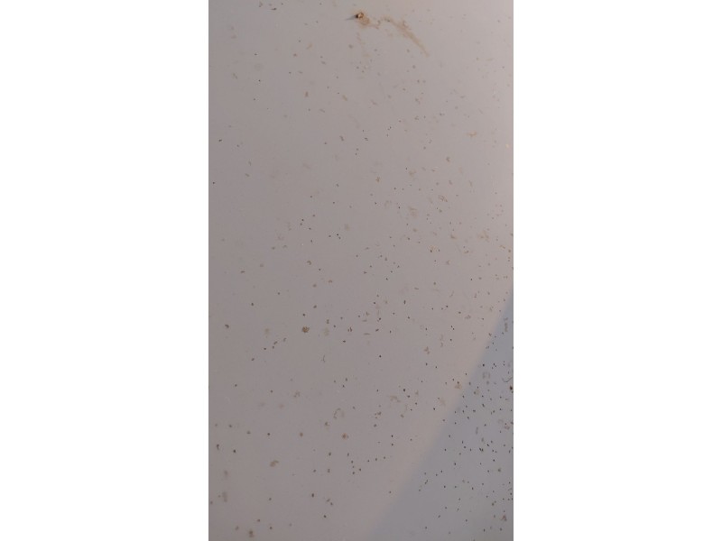 Recambio de capot para lancia ypsilon (843_) 1.2 (843.axa1a) referencia OEM IAM   