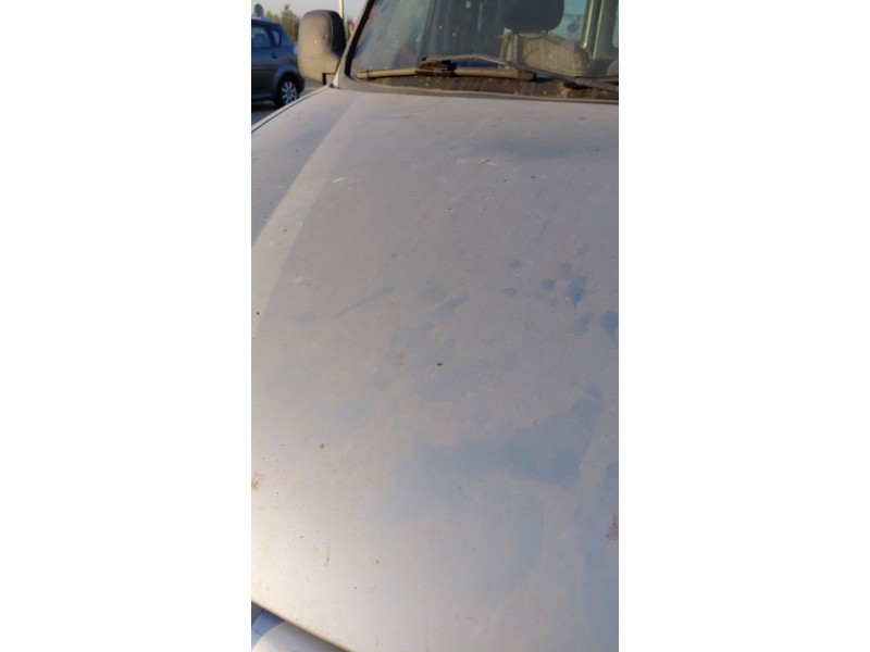 Recambio de capot para peugeot partner furgoneta/monovolumen (5_, g_) 1.6 hdi 75 referencia OEM IAM   
							