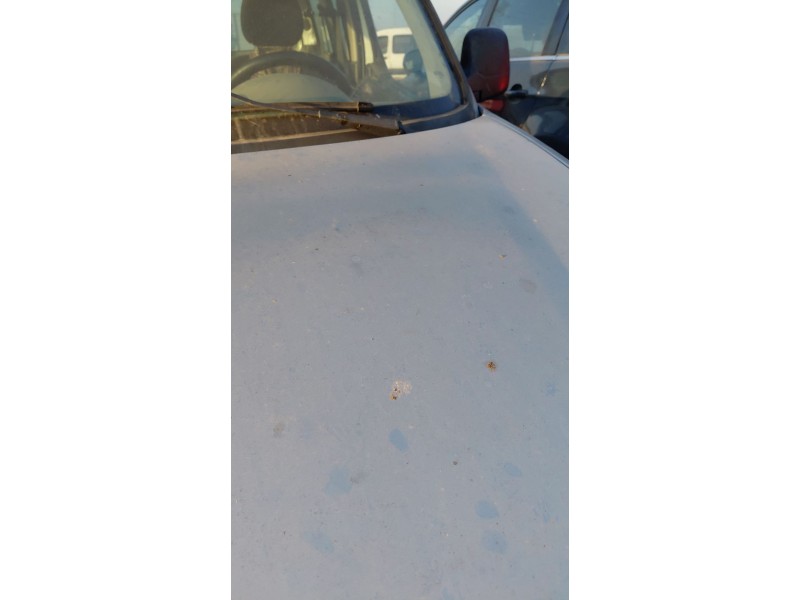 Recambio de capot para peugeot partner furgoneta/monovolumen (5_, g_) 1.6 hdi 75 referencia OEM IAM   