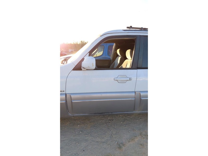 Recambio de puerta delantera izquierda para hyundai terracan (hp) 2.9 crdi 4wd referencia OEM IAM   