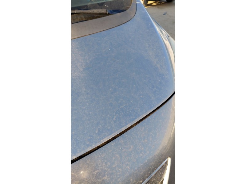 Recambio de capot para opel meriva b monospace (s10) 1.7 cdti (75) referencia OEM IAM   