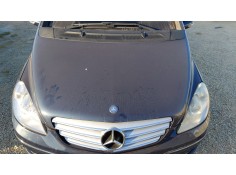 Recambio de capot para mercedes-benz clase b sports tourer (w245) b 180 cdi (245.207) referencia OEM IAM   
