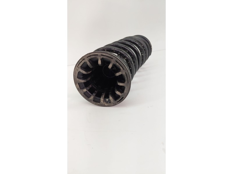 Recambio de amortiguador trasero para fiat doblo furgoneta/monovolumen (510_, 511_) bluehdi 100 referencia OEM IAM   
							