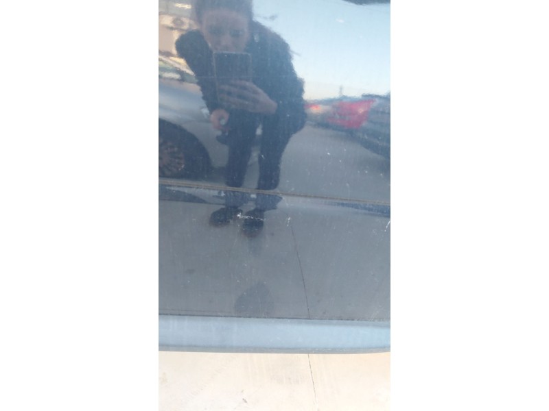 Recambio de puerta delantera derecha para land rover freelander 2 (l359) 2.2 ed4 referencia OEM IAM   