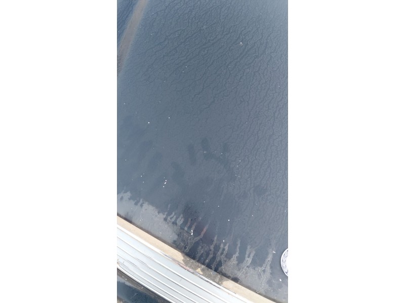 Recambio de capot para mercedes-benz clase e (w211) e 320 cdi (211.026) referencia OEM IAM   