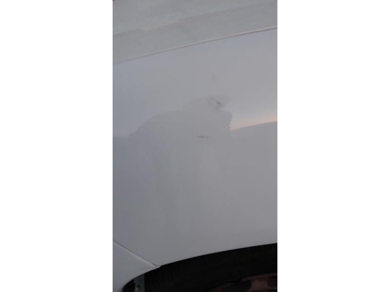 Recambio de aleta delantera izquierda para peugeot partner monospace (5_, g_) 1.6 hdi 90 referencia OEM IAM   