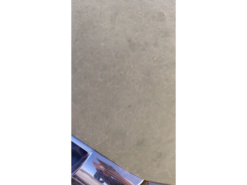 Recambio de capot para nissan pick up (d22) 2.5 dci 4wd referencia OEM IAM   
							