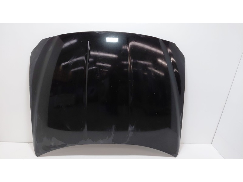 Recambio de capot para jaguar xe (x760) 2.0 d referencia OEM IAM   
							