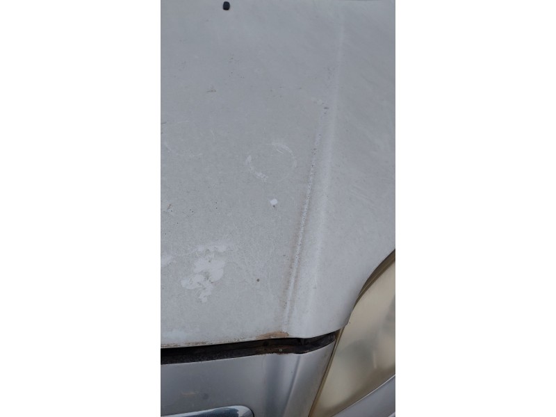 Recambio de capot para toyota avensis sedán (_t25_) 1.8 (zzt251_) referencia OEM IAM   