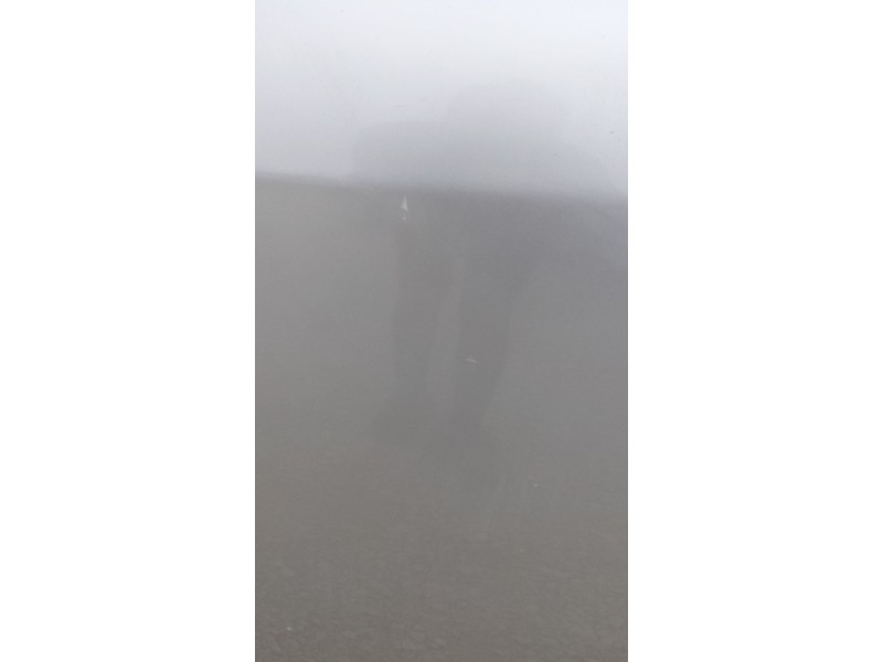 Recambio de puerta trasera izquierda para toyota avensis sedán (_t25_) 1.8 (zzt251_) referencia OEM IAM   