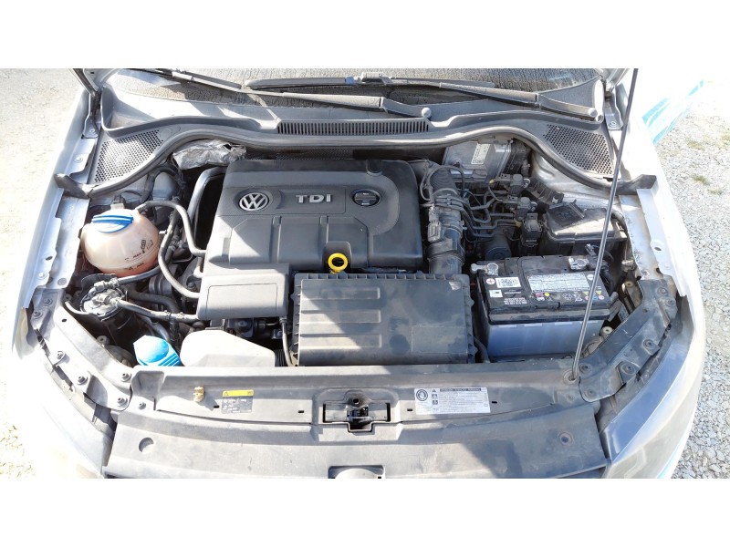 volkswagen polo v (6r1, 6c1) del año 2016
							