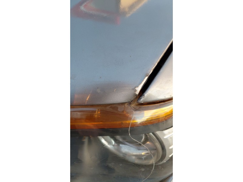 Recambio de capot para bmw serie 7 (e65/e66) 730d referencia OEM IAM   