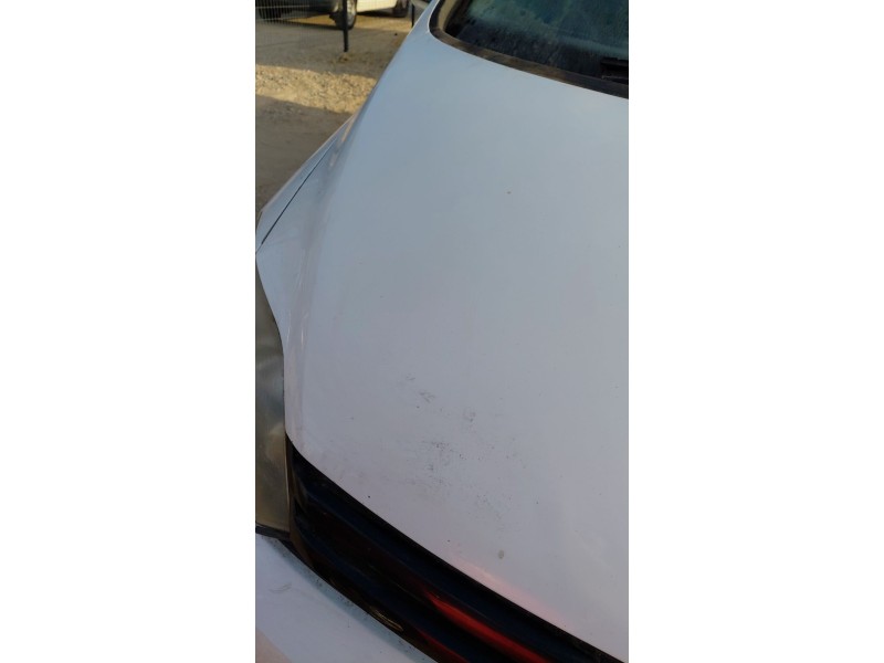 Recambio de capot para volkswagen golf plus v (5m1, 521) 1.6 tdi referencia OEM IAM   