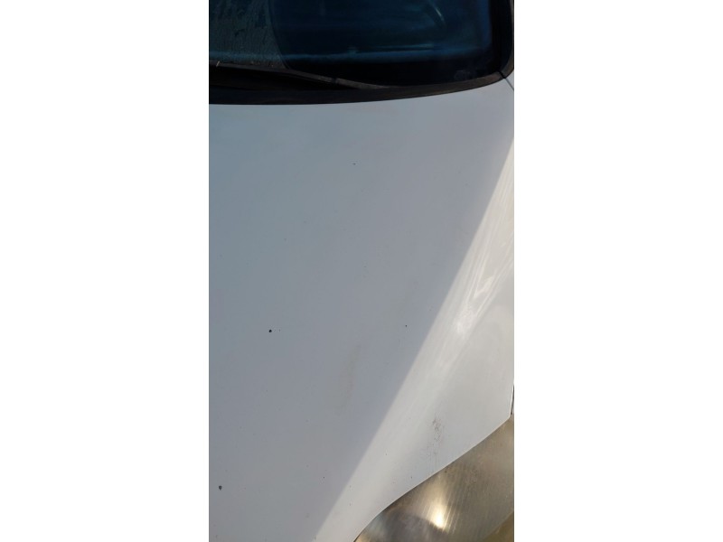 Recambio de capot para volkswagen golf plus v (5m1, 521) 1.6 tdi referencia OEM IAM   