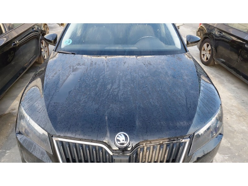 Recambio de capot para skoda superb iii (3v3) 2.0 tdi referencia OEM IAM   
							