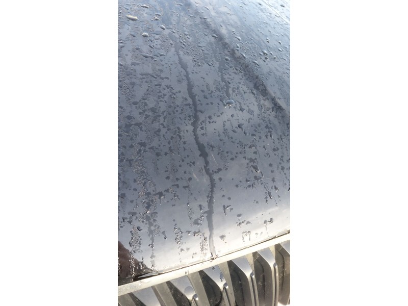 Recambio de capot para skoda superb iii (3v3) 2.0 tdi referencia OEM IAM   
							