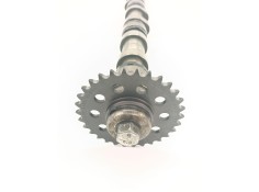 Recambio de arbol de levas para jaguar xe (x760) 2.0 d referencia OEM IAM G4D3 6256 DA   2