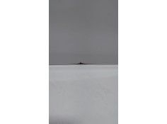 Recambio de puerta delantera derecha para mini countryman (r60) one d referencia OEM IAM    2