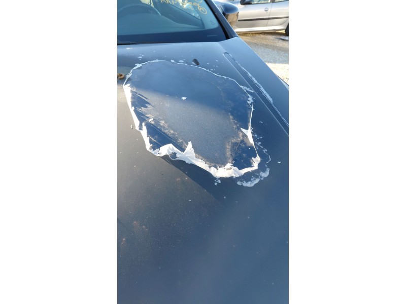 Recambio de capot delantero para ford mondeo iv (ba7) 1.8 tdci referencia OEM IAM   
							