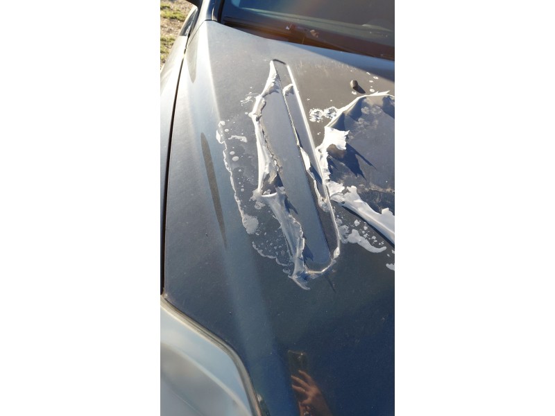 Recambio de capot delantero para ford mondeo iv (ba7) 1.8 tdci referencia OEM IAM   
							