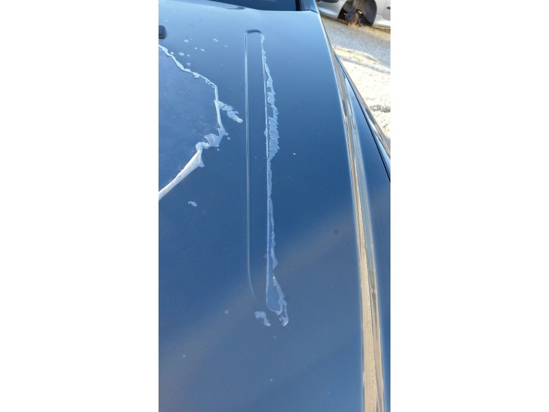 Recambio de capot delantero para ford mondeo iv (ba7) 1.8 tdci referencia OEM IAM   