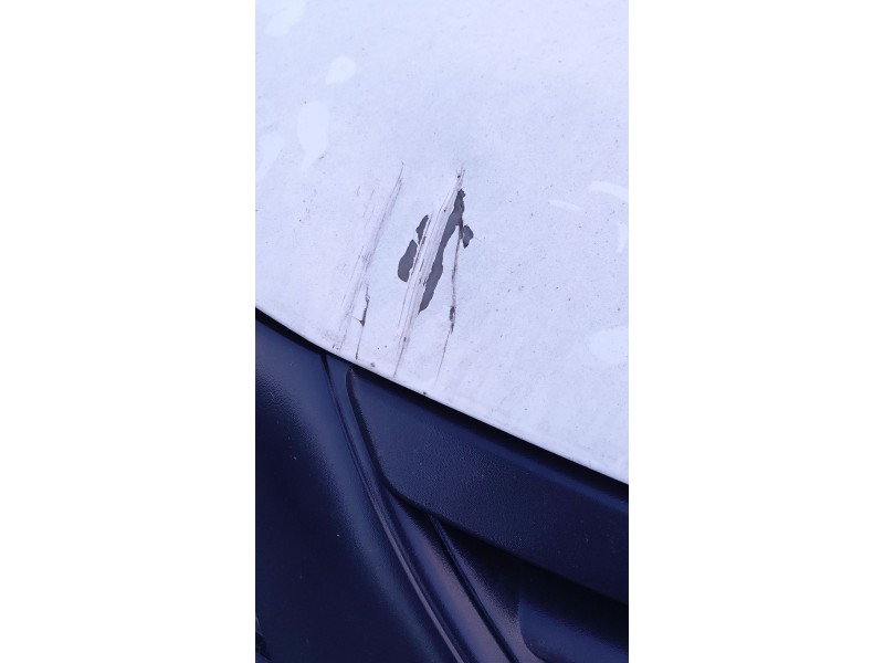 Recambio de capot para dacia logan express (fs_) 1.5 dci (fs0k) referencia OEM IAM   