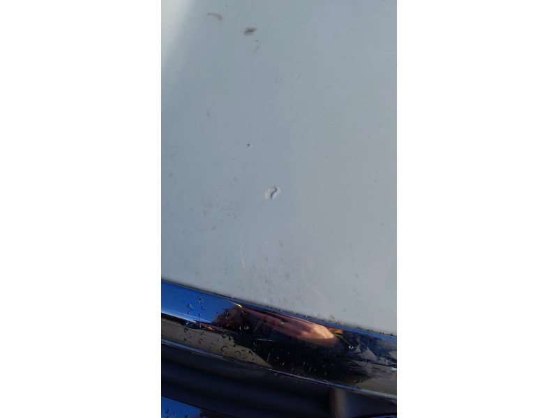 Recambio de capot para ford kuga i 2.0 tdci referencia OEM IAM   