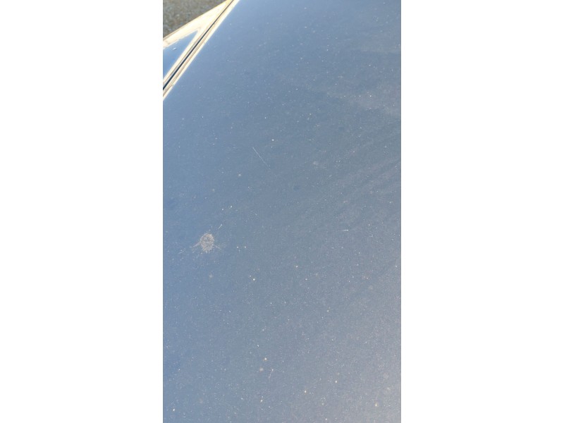 Recambio de capot para volkswagen touareg (7la, 7l6, 7l7) 2.5 r5 tdi referencia OEM IAM   