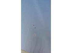 Recambio de capot para mercedes-benz slk (r170) 230 kompressor (170.447) referencia OEM IAM    2