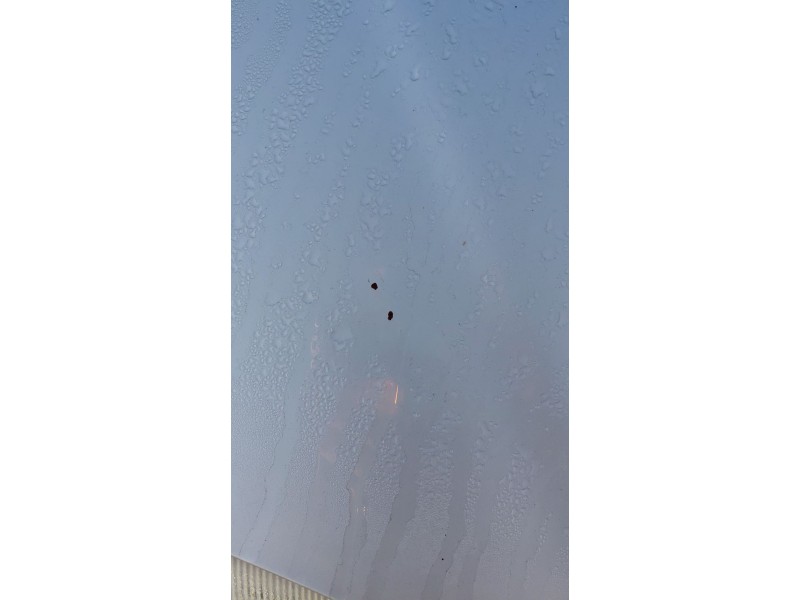 Recambio de capot para mercedes-benz slk (r170) 230 kompressor (170.447) referencia OEM IAM   
							