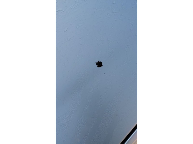 Recambio de capot para mercedes-benz slk (r170) 230 kompressor (170.447) referencia OEM IAM   
							