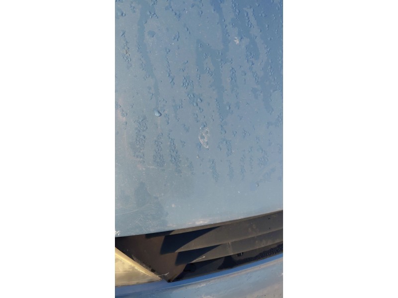 Recambio de capot para renault espace iv (jk0/1_) 1.9 dci (jk0u, jk0g) referencia OEM IAM   