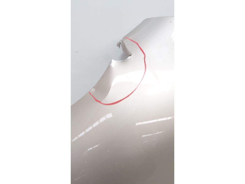 Recambio de aleta delantera izquierda para mercedes-benz clase e descapotable (a238) e 200 (238.442) referencia OEM IAM   