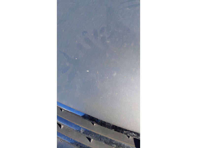 Recambio de capot para volkswagen touareg (7la, 7l6, 7l7) 2.5 r5 tdi referencia OEM IAM   
							