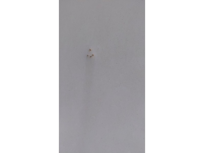 Recambio de porton trasero izquierdo para fiat scudo furgoneta (270_, 272_) 1.6 d multijet referencia OEM IAM   