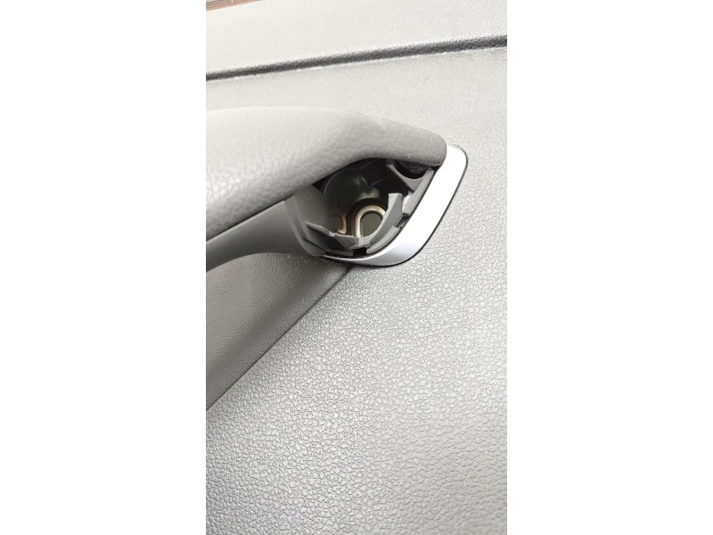 Recambio de guarnecido puerta trasera izquierda para volkswagen arteon (3h7, 3h8) 2.0 tdi referencia OEM IAM   
							