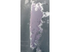 Recambio de capot para jaguar x-type i (x400) 2.0 d referencia OEM IAM    2