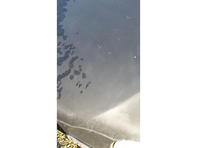 Recambio de capot para alfa romeo 147 (937_) 1.9 jtd (937.axf1a, 937.bxf1a) referencia OEM IAM   