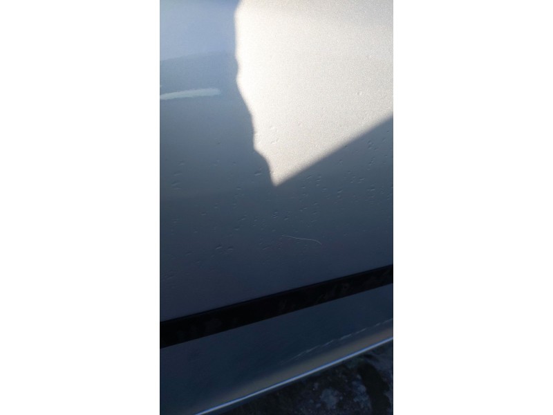 Recambio de puerta trasera derecha para volkswagen golf v (1k1) 1.9 tdi referencia OEM IAM   