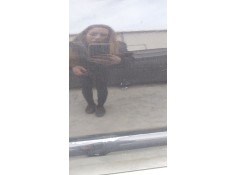 Recambio de puerta delantera izquierda para kia sportage ii (je_, km_) 2.0 crdi referencia OEM IAM    2