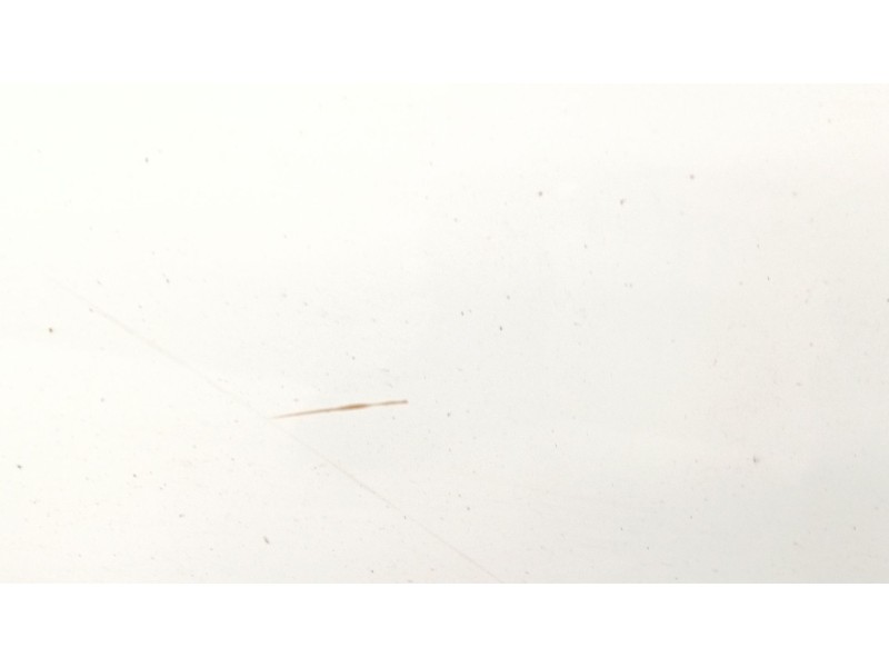 Recambio de puerta delantera izquierda para ford focus iii sedán 1.0 ecoboost referencia OEM IAM   
							