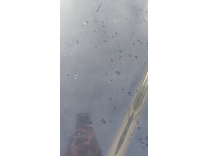 Recambio de capot para mercedes-benz clase m (w163) ml 270 cdi (163.113) referencia OEM IAM   
							