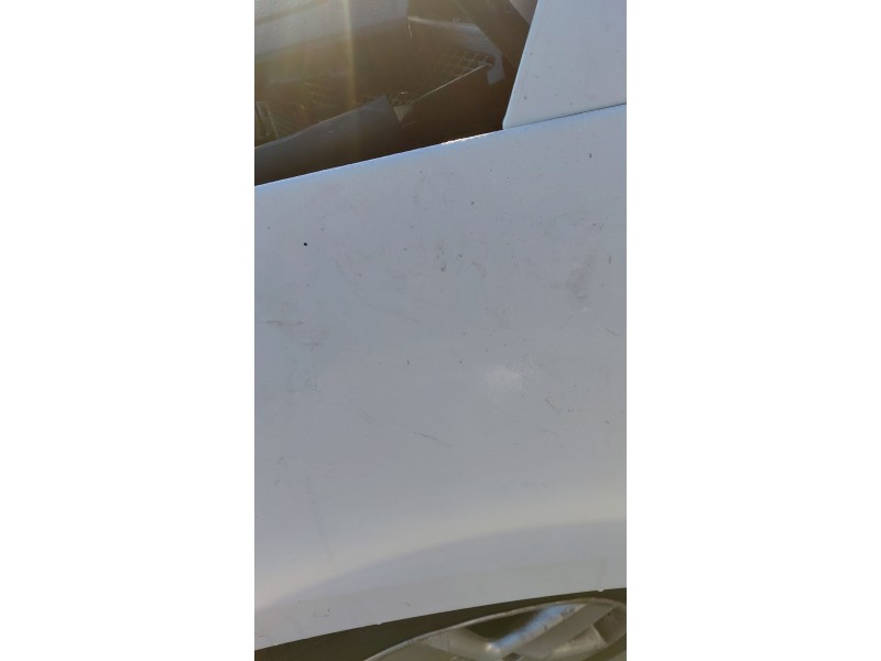 Recambio de aleta delantera izquierda para renault scénic iii (jz0/1_) 1.5 dci (jz02, jz0r) referencia OEM IAM   
							