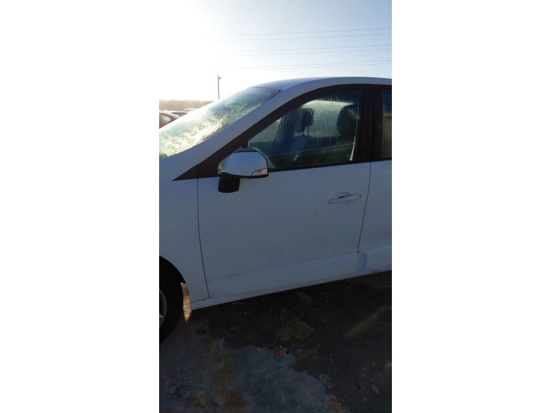 Recambio de puerta delantera izquierda para renault scénic iii (jz0/1_) 1.5 dci (jz02, jz0r) referencia OEM IAM   