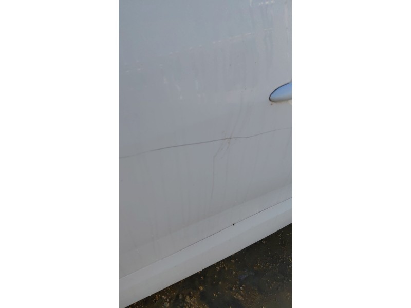 Recambio de puerta delantera izquierda para renault scénic iii (jz0/1_) 1.5 dci (jz02, jz0r) referencia OEM IAM   
							