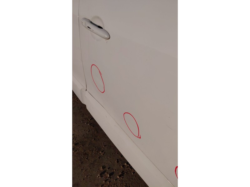 Recambio de puerta delantera derecha para renault scénic iii (jz0/1_) 1.5 dci (jz02, jz0r) referencia OEM IAM   