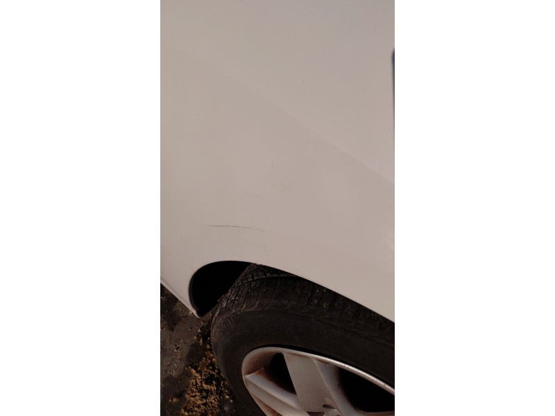 Recambio de aleta delantera derecha para renault scénic iii (jz0/1_) 1.5 dci (jz02, jz0r) referencia OEM IAM   
							